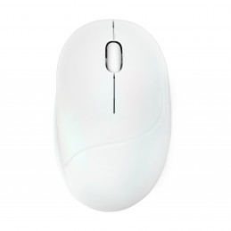 ASUS Fragrance Mouse MD101 hiiri Koti Molempikätinen RF Wireless + Bluetooth Optinen 2400 DPI