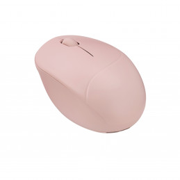 ASUS Fragrance Mouse MD101 hiiri Koti Molempikätinen RF Wireless + Bluetooth Optinen 2400 DPI