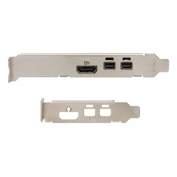 Sparkle Technology Intel Arc A310 ECO 4 GB GDDR6