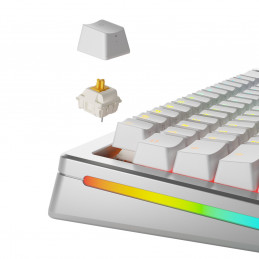 Glorious Gaming GLO-KB-ACC-SWT-PANDA-LUBED-36 syöttölaitteen lisävaruste Keyboard switches lube station