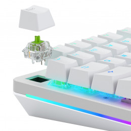 Glorious Gaming GLO-KB-ACC-SWT-RAPTOR-LUBED-36 syöttölaitteen lisävaruste Näppäimistökytkimet