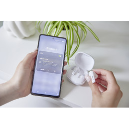 Intenso T502HAE Kuulokkeet True Wireless Stereo (TWS) In-ear Puhelut Musiikki Urheilu Päivittäinen USB Type-C Bluetooth