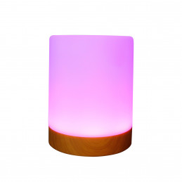 RealPower 463601 yövalo Ympäristövalaistus