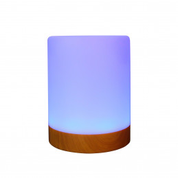 RealPower 463601 yövalo Ympäristövalaistus