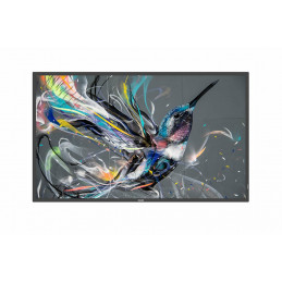 Philips 55BDL3650QE 00 infonäyttö Digitaalinen litteä infotaulu 138,7 cm (54.6") Wi-Fi 350 cd m² 4K Ultra HD musta