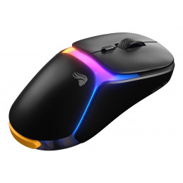 Glorious Gaming Model O3 Wireless hiiri Pelaaminen Oikeakätinen Langaton RF Optinen 30000 DPI