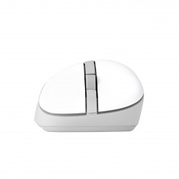 ASUS Wireless Mouse MD102 hiiri Universaali Oikeakätinen RF Wireless + Bluetooth Optinen 1600 DPI