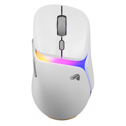 Glorious Gaming Model D3 Wireless hiiri Pelaaminen Oikeakätinen Langaton RF Optinen 30000 DPI