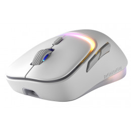 Glorious Gaming Model D3 Wireless hiiri Pelaaminen Oikeakätinen Langaton RF Optinen 30000 DPI