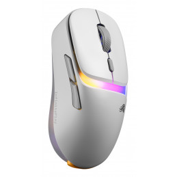 Glorious Gaming Model D3 Wireless hiiri Pelaaminen Oikeakätinen Langaton RF Optinen 30000 DPI