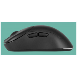 GAMIAC PA50 hiiri Pelaaminen Oikeakätinen USB Type-C Optinen 12400 DPI