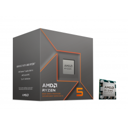 AMD Ryzen 5 8600G suoritin 4,3 GHz 16 MB L3 Laatikko