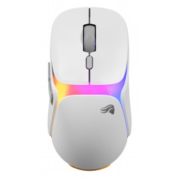 Glorious Gaming Model O3 Wireless hiiri Pelaaminen Oikeakätinen Langaton RF Optinen 30000 DPI