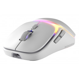 Glorious Gaming Model O3 Wireless hiiri Pelaaminen Oikeakätinen Langaton RF Optinen 30000 DPI