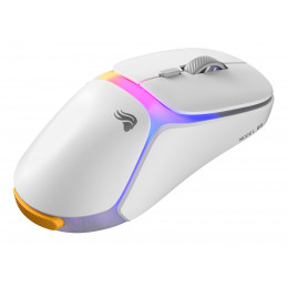 Glorious Gaming Model O3 Wireless hiiri Pelaaminen Oikeakätinen Langaton RF Optinen 30000 DPI
