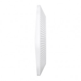 TP-Link Festa F67 Valkoinen Power over Ethernet -tuki