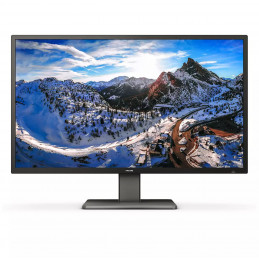 Philips P Line 439P1 00 tietokoneen litteä näyttö 108 cm (42.5") 3840 x 2160 pikseliä 4K Ultra HD LCD musta