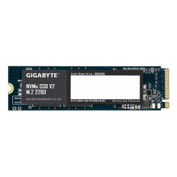 GIGABYTE G3NVMEV2256G SSD-massamuisti 256 GB M.2 PCI Express 3.0 NVMe 3D TLC NAND
