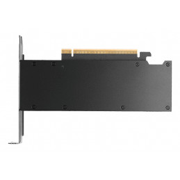 PNY RTX PRO 2000 Blackwell NVIDIA 16 GB GDDR7