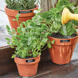 DYMO Labelmanager 160 Value Pack Beschriftungsgerät Geeignet für Schriftband D1 12 mm 9