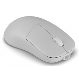 Endgame Gear XM2w 4k v2 hiiri Pelaaminen Oikeakätinen RF Wireless + USB Type-A Optinen 30000 DPI