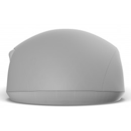 Endgame Gear XM2w 4k v2 hiiri Pelaaminen Oikeakätinen RF Wireless + USB Type-A Optinen 30000 DPI