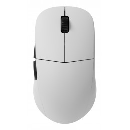 Endgame Gear XM2w 4k v2 hiiri Pelaaminen Oikeakätinen RF Wireless + USB Type-A Optinen 30000 DPI