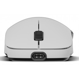 Endgame Gear XM2w 4k v2 hiiri Pelaaminen Oikeakätinen RF Wireless + USB Type-A Optinen 30000 DPI