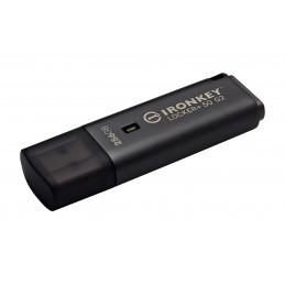 Kingston Technology IronKey 256 Gt Locker Plus 50 G2, FIPS 197, AES-256