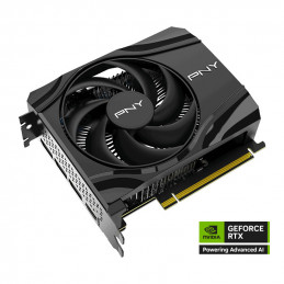 PNY GeForce RTX 5060 Single Fan NVIDIA 8 GB GDDR7