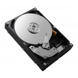 DELL 161-BCFV sisäinen kiintolevy 2,4 TB 10000 RPM 2.5" SAS