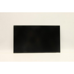Lenovo 5D10Y75650 kannettavan tietokoneen varaosa Näyttö