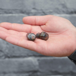 JLab Go Air Pop Kuulokkeet True Wireless Stereo (TWS) In-ear Puhelut Musiikki Urheilu Päivittäinen Bluetooth Musta, Läpinäkyvä