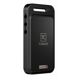 Team Group P31 External SSD 2 TB USB Type-C 3.2 Gen 2 (3.1 Gen 2) Musta