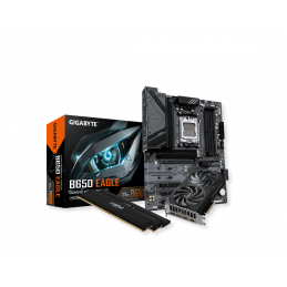 Bundle crucial 32GB + 5060 + B650 EAGLE
