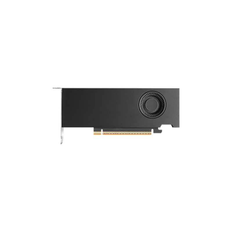 Nvidia RTX PRO 2000 Blackwell 16 GB GDDR7
