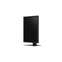 EIZO RadiForce MX217-SB tietokoneen litteä näyttö 53,3 cm (21") 1200 x 1600 pikseliä UXGA LCD Musta