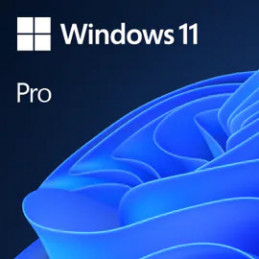 Microsoft Windows 11 Pro 1 lisenssi(t)