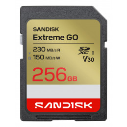 SanDisk Extreme GO 256 GB SDXC UHS-I