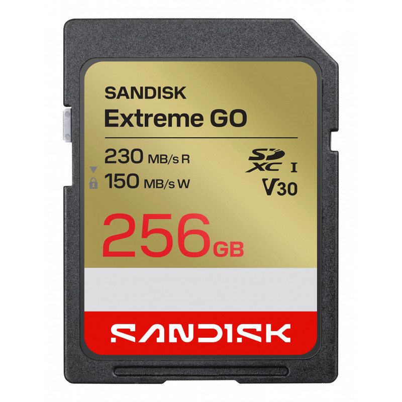 SanDisk Extreme GO 256 GB SDXC UHS-I