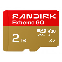 SanDisk Extreme GO 2 TB MicroSDXC UHS-I