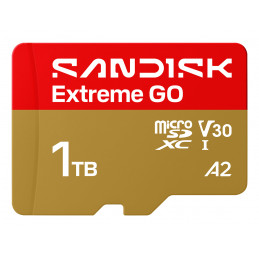 SanDisk Extreme GO 1 TB MicroSDXC UHS-I