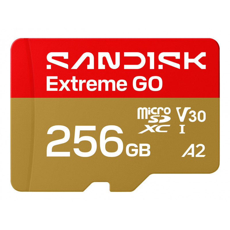 SanDisk Extreme GO 256 GB MicroSDXC UHS-I