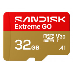 SanDisk Extreme GO 32 GB MicroSDHC UHS-I