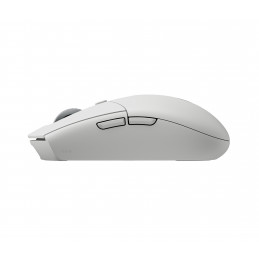 Logitech G G305 X SUPERLIGHT hiiri Pelaaminen Oikeakätinen RF Wireless + Bluetooth Optinen 44000 DPI