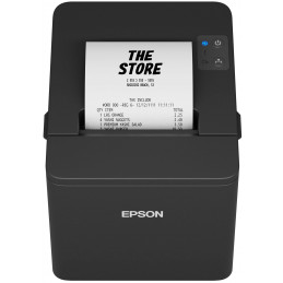 Epson TM-T20IV (101) USB+SARJALIITÄNTÄ, PS, BLK