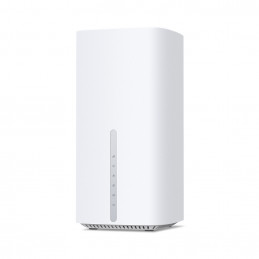 TP-Link Archer NB450 langallinen reititin 2.5 Gigabit Ethernet Valkoinen