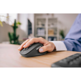 Logitech Signature Comfort Plus M850 L hiiri Universaali Oikeakätinen RF Wireless + Bluetooth Optinen 4000 DPI