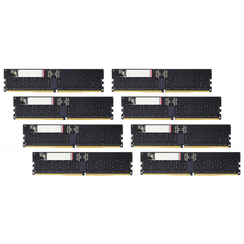 G.Skill Aegis 5 F5-6000R3036G48GE8-G5N muistimoduuli 384 GB 8 x 48 GB DDR5 6000 MT s 288-pin DIMM ECC