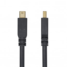 StarTech.com DP14MDPMM10F DisplayPort-kaapeli 3 m Mini DisplayPort Musta